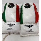 Kids Boxing Gloves 12oz Mexico Flag Colors Training Sparring Punching Heavy Bag