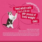 Purina Friskies Surfin    Turfin  Favorites Prime Filets Wet Cat Food 48 Can