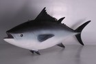 Hanging Tuna Fish Life Size Resin Statue Aquatic Display Ocean Marine Theme Prop