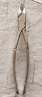 Antique Cleveland Dental Standard 3r Dentist Tooth Extractor