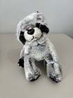 Webkinz Raccoon Plush Toy Stuffed Animal With Tags Please Read