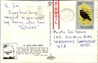 Castries St  Lucia Downtown Street Scene Continental Postcard B650