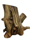 Manzanita Driftwood Stump 6  For Aquarium Reptile Habitat Aquascaping Decor