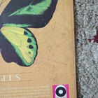 Bee Gees Autographed By Family Bee Gees Rare Precious And Beautiful