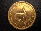 South Africa 1954 Elizabeth Ii  1 Pound Superb Gold Coin Mint Only 1275     Rare