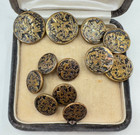 Lot Of 12 Antique Victorian Brass Buttons Indian Head Same Design Three Sizes