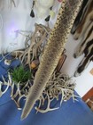 Bull Snake Skin Snake Hide Dry Tanned Bow Wrap Blanks Snake Art Nice 54 In  K1
