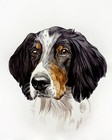 Custom Pet Portrait From Your Photo Original Watercolor Painting Dog  Cat  Gift