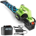Cordless Leaf Blower  710cfm   200mph  6-speed Turbo Blower With 42v 6 0ah 