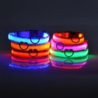 Nylon Led Dog Leash Night Safety Flashing Luminous Glow Pet Collar