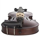Violin 4 4 Full Size Hand Carved Spruce Maple Ebony Cecilio Solid