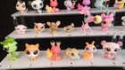 Many Types Of Lps Animals Littlest Pet Shop Original Hasbro  Price Per Piece