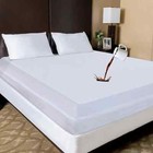 Mattress Encasement Waterproof Bed Bug Protector Zippered Mattress Cover Pad