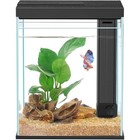 Small Fish Tank 2 Gallon Glass Aquarium Starter Kit W  Led Filter   Light New