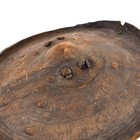 Ethiopian Leather Shield Amarro Arussi