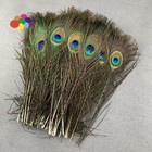 10-100pcs Natural Peacock Feathers Eyes 25-45cm 10-18inch Diy Wedding Home Plume