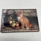 Lot 5 Vintage Cat Kitten Magnets 1996 Kitchen Refrigerator Decor 2   x3   