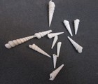 Set Of 5 Fossilized Gastropod Turritella Shells 2   - 5 Million Years Ago     Bcx