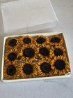 Sunflowers Dried Sun Flowers 12 Heads Only  Crafts Wedding Resin    Usa Bx 1