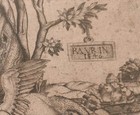 Rare Old Master Print Raphael Vincidor Udine Tapestry Lions And Putto 1546