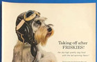 1960 Friskies Dog Food Vtg 1960 s Magazine Print Ad  Taking Off After Friskies 
