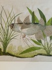 Rare Vintage Framed Fabric Wall Art Hanging Screen Print Fish