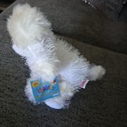 Ganz Webkinz White Poodle Dog Hm014 New Sealed Code Stuffed Animal Plush Toy Nwt