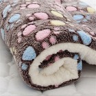 Warm Pet Blanket Pad Cat Dog Bed Soft Fleece Mat Warm Thermal Rug Pet Beds