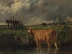 Hand Painted Old Master-art Antique Oil Painting Animal Portrait Cows On Canvas