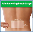 Salonpas Pain Relieving Patch  Large  6 Count  For Back  Neck  Shoulder  Knee Pa