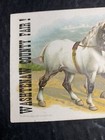 Rare C 1900 Ann Arbor Michigan Litho Trade Card Washtenaw County Fair 2 Horses