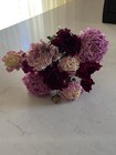 Peonies   Dried Flower Bunch Bouquet Bundle Usa Grown   Assorted Peony Mix Auc 2