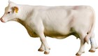 Little Buster Charolais Family Set - Charolais Cow  Bull  And Calf 1 16th Scale