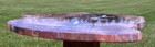 Sis  Nice 11   Swartz Canyon Petrified Oak Slab - Gorgeous Grain - Rare Find 