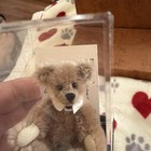 World Of Miniature Bears Brownie Lt  Carmel   651 W  Certificate Of Authenticity