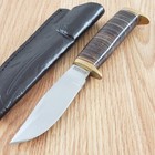 Rough Ryder Short Skinner Fixed Knife 3 5  Stainless Steel Blade Leather Handle