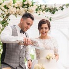 Silver Cake Knife And Server Set  Cake Cutting Set Of 2 With Acrylic Handles