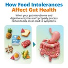 5strands Gut Health Test For Adults   Kids  500  Items Tested  At-home Hair