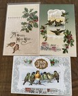 Lot Of 3 antique new Year s  Postcards With Birds And Holly vintage d752