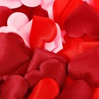  600pcs Heart Petals Decorative Confetti Table Scatter For Valentine s Day
