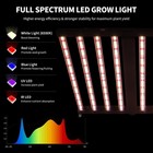 600 720 1000w Led Grow Light Dimmable Full Spectrum Plant Growing Lamp 4x4ft