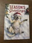 Funny Christmas Golden Retriever Santa Dog 4 6x6 6    Blank Inside Greeting Card
