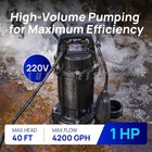 1 Hp Sewage Grinder Pump 2  Discharge Auto Float Switch 220v 4200gph Sep100ca