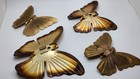 4 Vintage Brass Butterfly Butterflies Wall Decor Set Mcm Metal Art 3 1 2 - 5 1 4