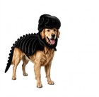 Dinosaur Skeleton Pet Costume For Dogs Halloween