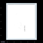 Vintage Photo Formal Portrait Of Man Woman Couple