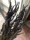 Natural Air Dried Lavender Bunches Harvested June 2025  5  Bunches To A Box