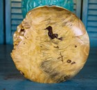 Vintage Signed Warren Vienneau Turned Buckeye Burlwood Live Edge 8 5  Bud Vase