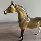 Peter Stone Horse 2014 Dah Design A Horse Arabian Fcm