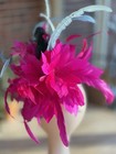 Kentucky Derby  Fascinator  Ascot  Racing  Wedding  Hat Fuchsia Pink Blue Jewel